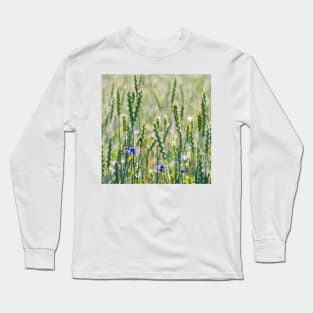 Cornflowers in a wheat field Long Sleeve T-Shirt